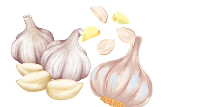 How much minced garlic equals 1 clove of garlic?