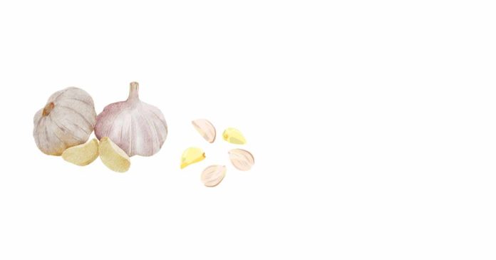 How much minced garlic is equivalent to one quarter cup?