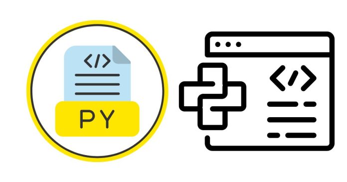 How to Read JSON file using Python