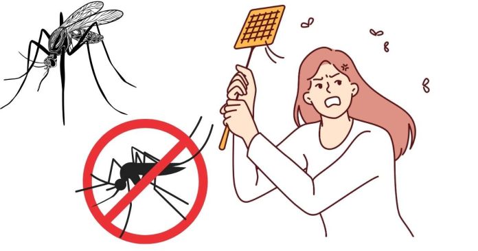 How to Kill all the Mosquitoes in my House