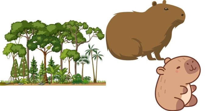 In which layer of the rainforest do capybaras reside?