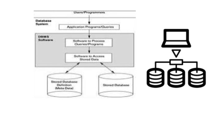 Introduction of DBMS (Database Management System)