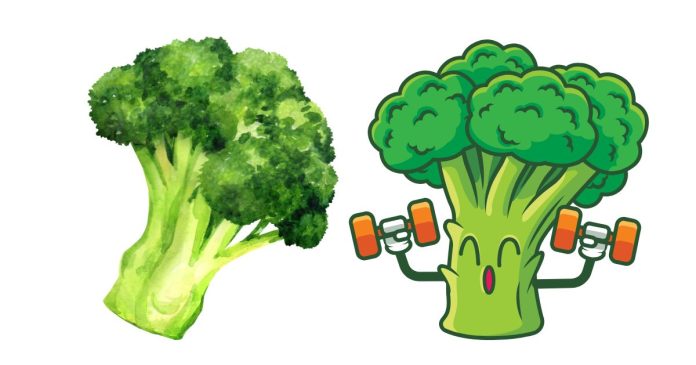 Is Broccoli a Human Invention That Was Bred From a Wild Plant?