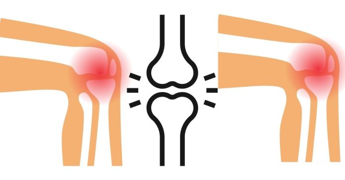 Which type of joint has the greatest range of flexibility and movement?