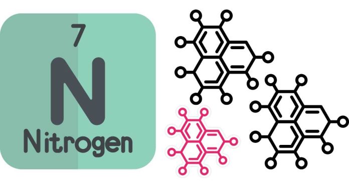 Which two macromolecules contain nitrogen?