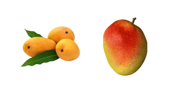 Mango