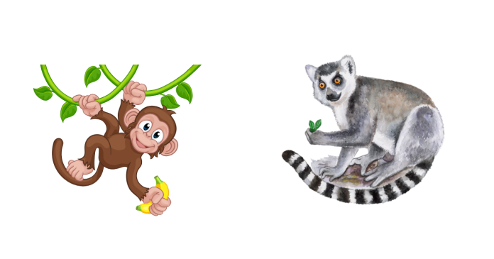 Monkey vs. Lemur: Key Differences