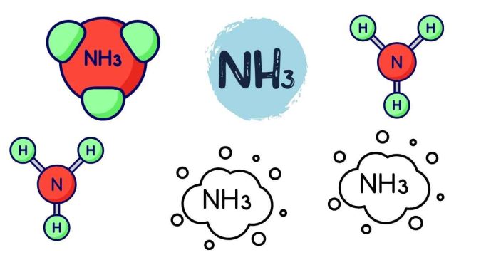 Is NH3 polar or non-polar?