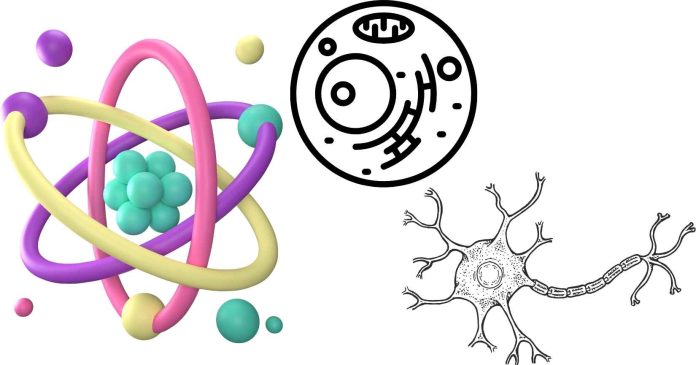 Number of Atoms in an HCP Unit Cell