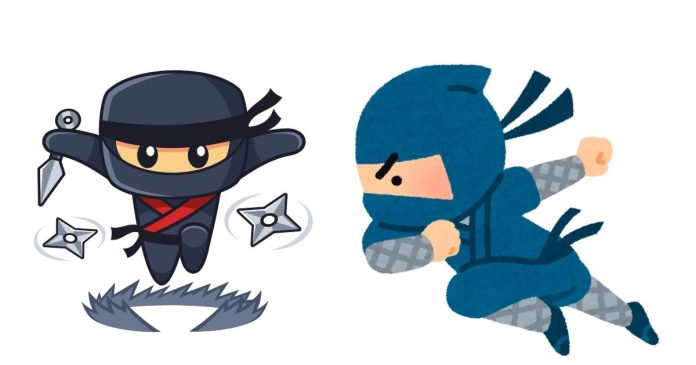 Who are Spy Ninjas?