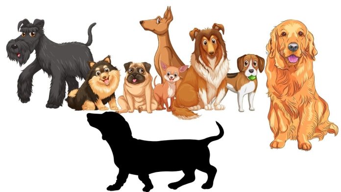 Top 10 Dog Breeds in the USA