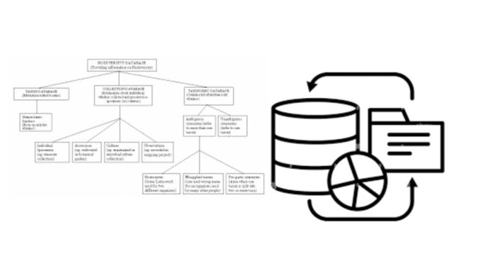 Types of Databases