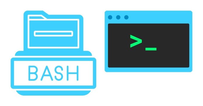 Understanding Various Flags in Bash