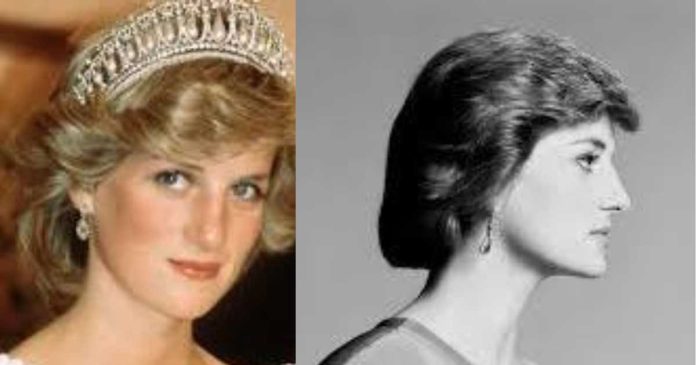 Was Princess Diana Adopted?