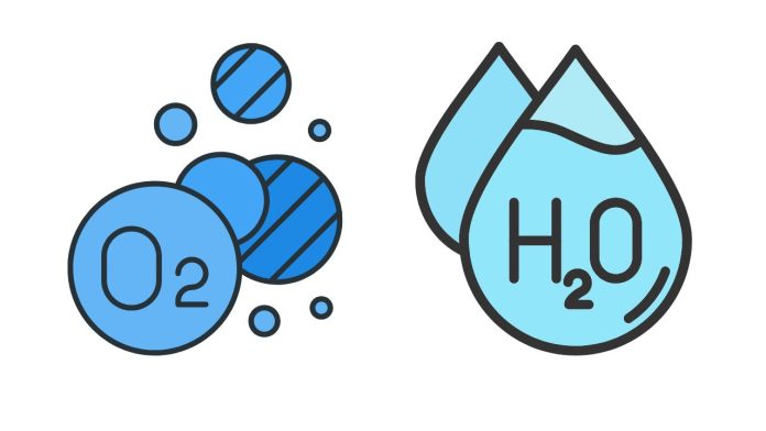 What Are the 3 Reactants Needed for Photosynthesis?