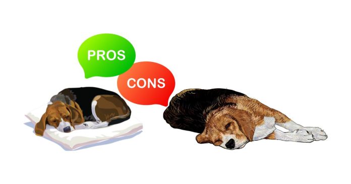 What Are the Pros and Cons of Having a Beagle as a Pet?