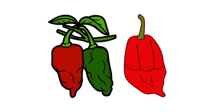 What Does It Feel Like to Eat a Ghost Chili (Naga Jolokia)?