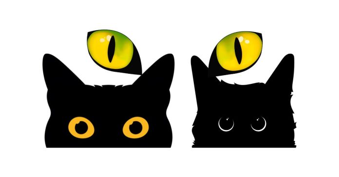 What Does It Mean if Someone Has “Cat Eyes”?