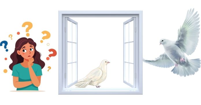 What Does a Dove Landing on My Window Mean Spiritually?