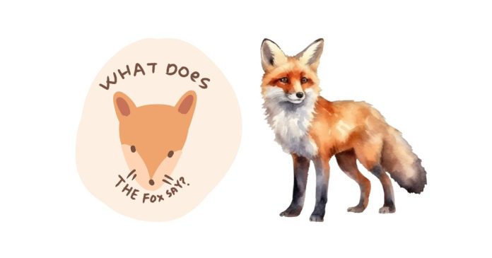 What Does the Fox Say in the Song “What Does the Fox Say”?