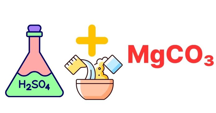 What Happens When Sulfuric Acid Reacts with Magnesium Carbonate?