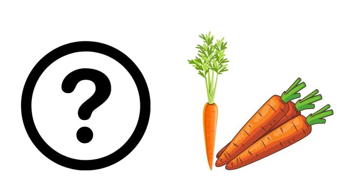 What Is A Carrot Stem Called?