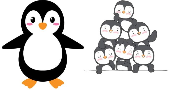 What Is A Group Of Penguins Called?