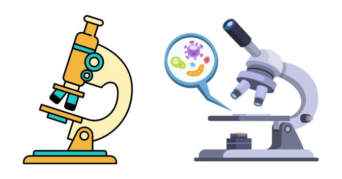 What Is Fine Adjustment of the Microscope?