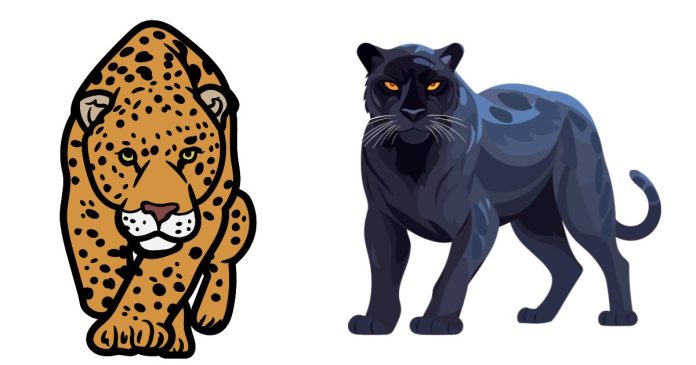 What Is The Difference Between A Black Panther And Jaguar