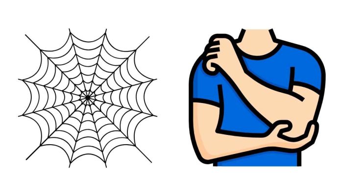 What Is The Meaning Of A Spider Web Tattoo On Your Elbow?