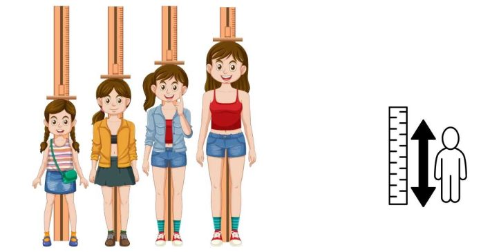 What Is the Average Height for Women?