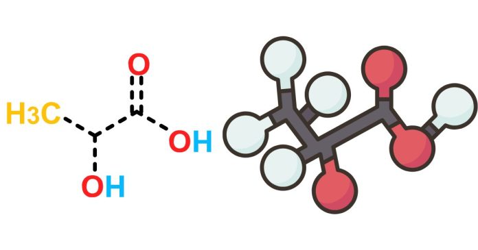 What Is the Chemical Equation of Lactic Acid Fermentation?