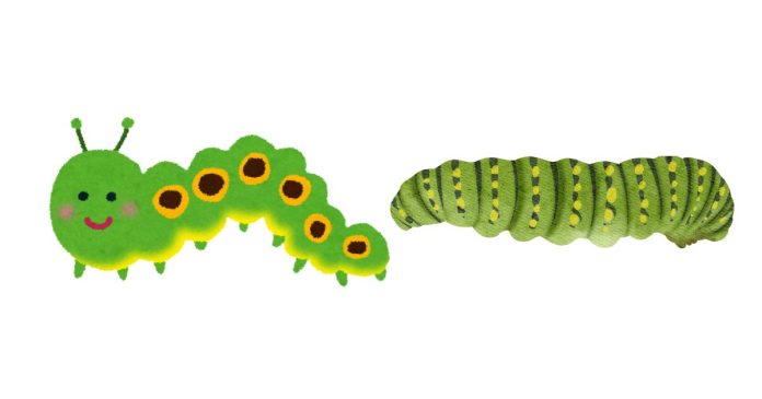 What Is the Term for a Young Caterpillar, and What Makes This Stage Significant in Its Life Cycle?