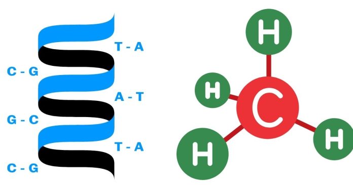 What Kind(s) of Intermolecular Forces Exist in ch2cl2?