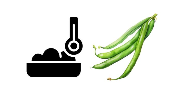 What Temperature Is Needed to Cook Green Beans for Hot Holding on a Buffet?