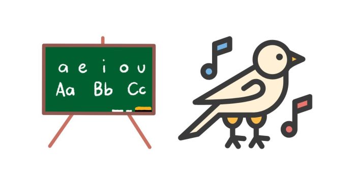 What Words Share the Same Vowel Sound as “Bird”?