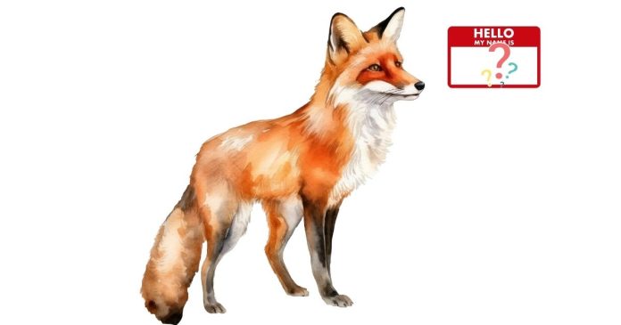 What are some good fox names?