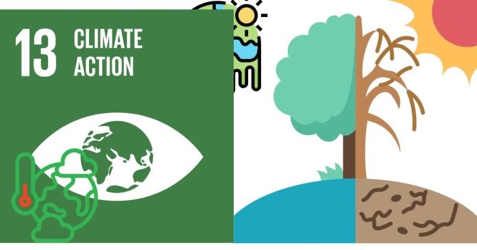 What are the 12 sub climate zones?