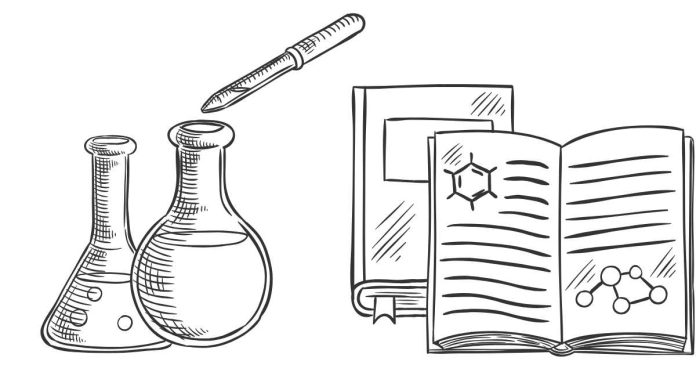 What are the Charges on the Acids HCl, H2SO4, and CH3COOH?