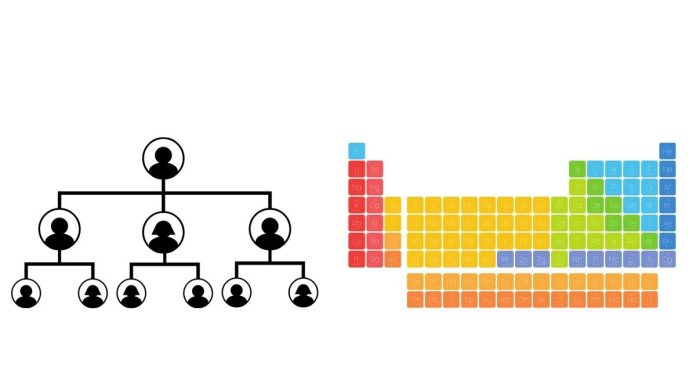 What are the families in the periodic table of elements?