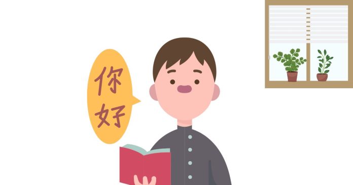 What are the language codes for Simplified Chinese and Traditional Chinese?