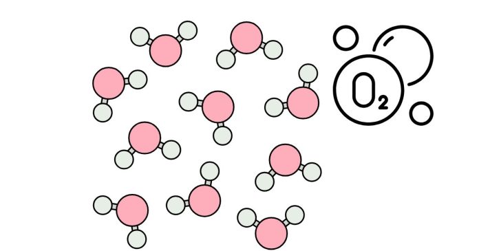 What are the Number of Molecules in 500cm3 of Oxygen?