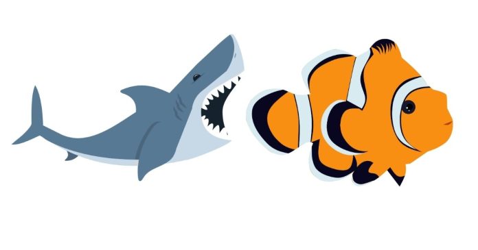 What are the three sharks' names in Pixar's Finding Nemo?