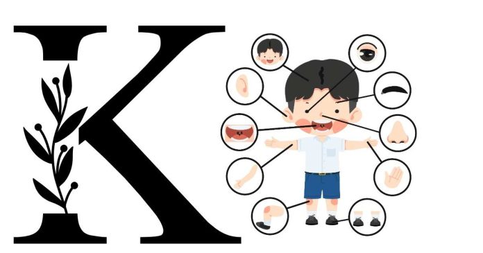 What body parts start with the letter K?