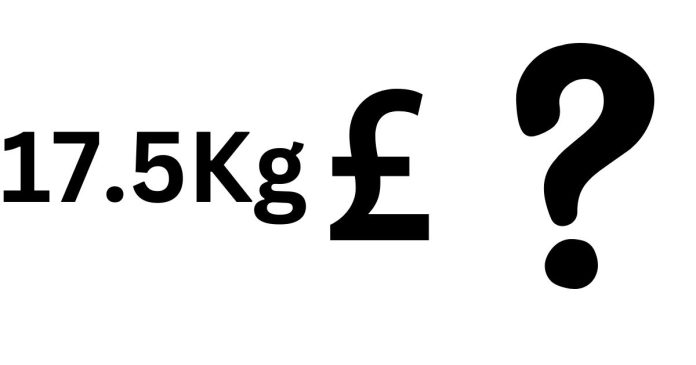 What does 17.5 kg Equal in Pounds?