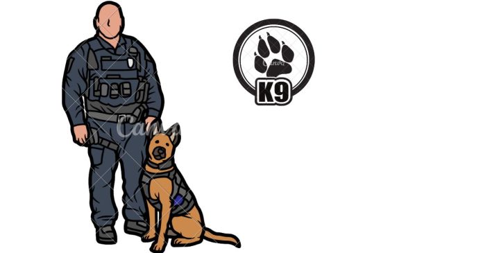 What does the Term K9 mean?