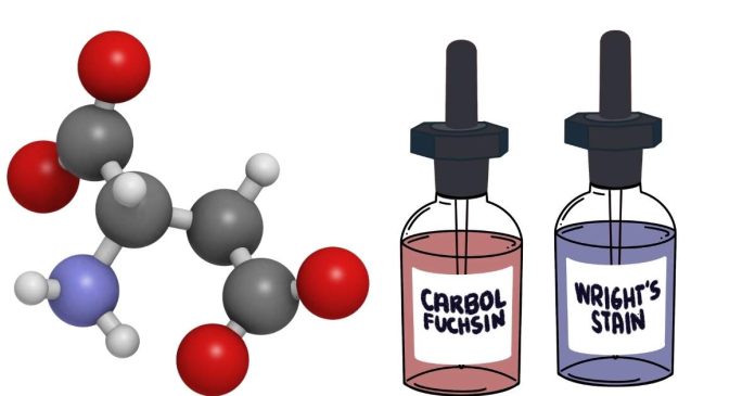 What functional group is found in a carboxylic acid?