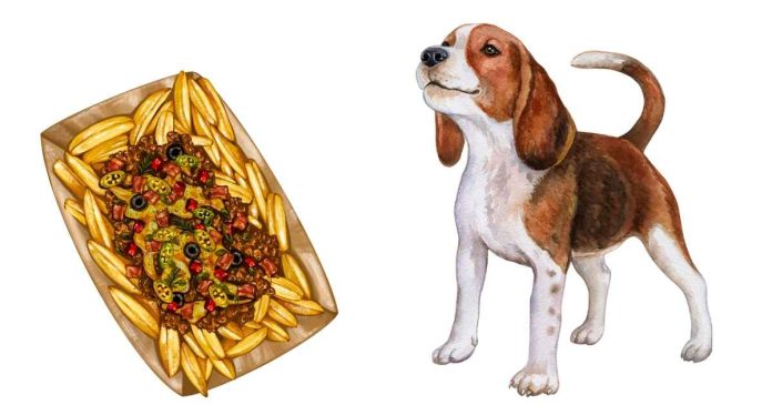 What happens if my dog eats French fries?