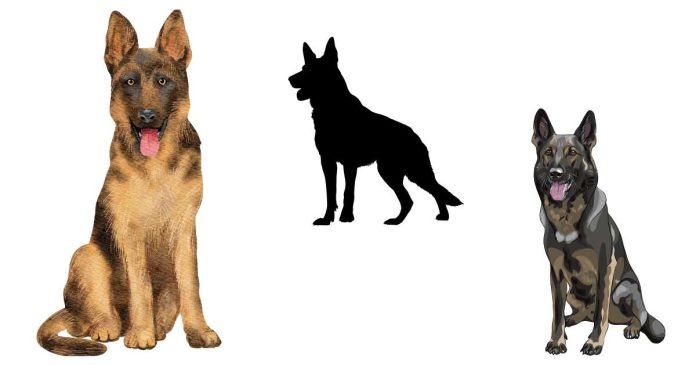 What happens when you breed a German Shepherd with another dog breed?