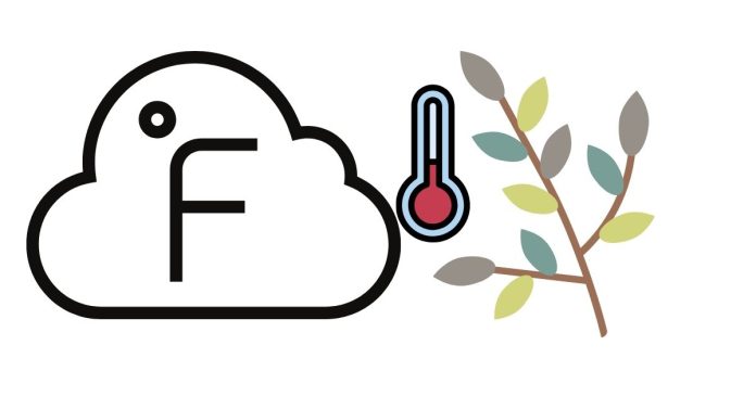 What is 165 degrees Fahrenheit in Celsius?